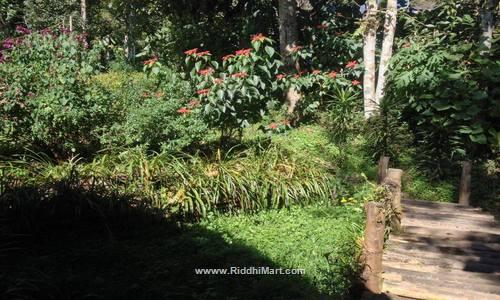 Village Near Kalimpong